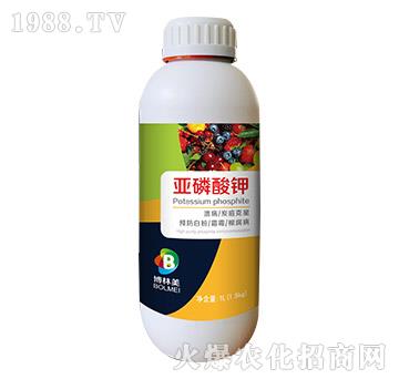 �������-���ƴ�