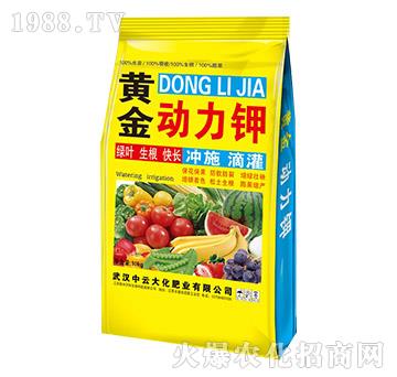 黃金動力鉀-中云大化
