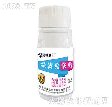 綠籬免修剪-園林衛(wèi)士-倍多收