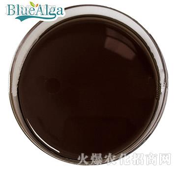 魚蛋白肽（液體）-藍寶海洋