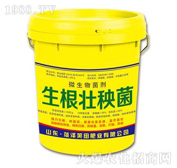 生根壯秧菌-笑田