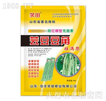 蕓豆豆角掛滿架-笑田