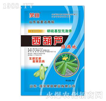 西葫蘆結(jié)滿地-笑田