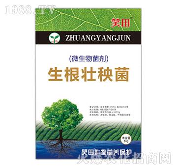 微生物菌劑-生根壯秧菌-笑田