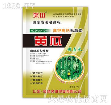 黃瓜嫩直長-笑田