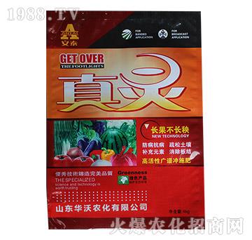 ���`-��̩-�A���r(n��ng)��