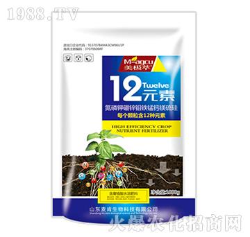 12Ԫ��-��������