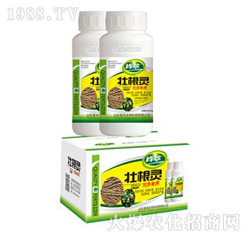 �Ѹ��`�h������-��������