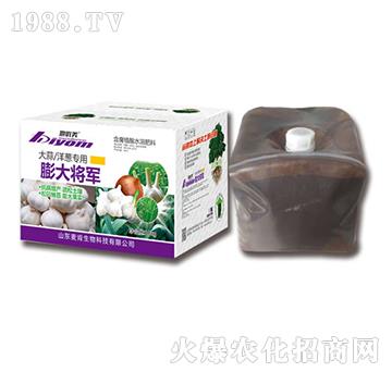 �������[�������܊-��������