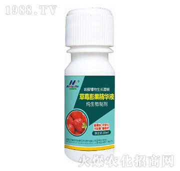 純生物制劑-草莓膨果精華液-艾姆斯特