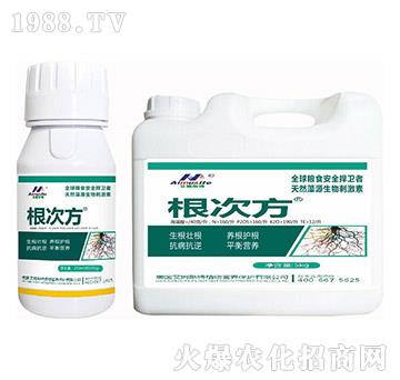 根次方-艾姆斯特