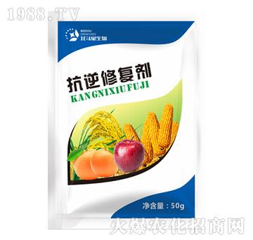 抗逆修復劑-北斗星