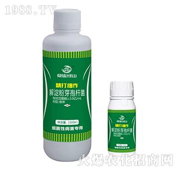 解淀粉芽孢桿菌-精打細(xì)作-鼎盛河山