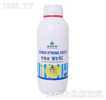 強(qiáng)生根-辛巴達(dá)-谷潤(rùn)作科