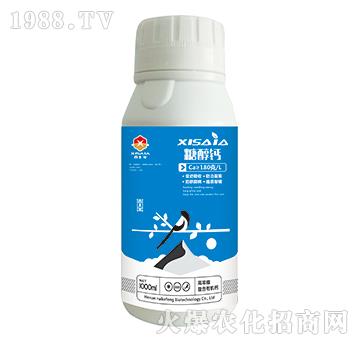 �ߝ�s�����ЙC(j��)�}-�Ǵ��}-ϲ�ϼ�