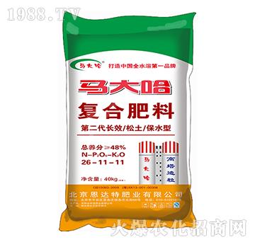 ����������(f��)�Ϸ���26-