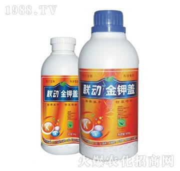 ����w-(li��n)��(d��ng)-� �����