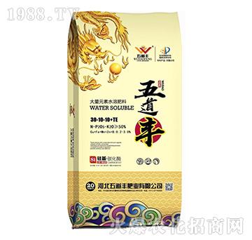 大量元素水溶肥料30-10-10+TE-金果豐-五道豐