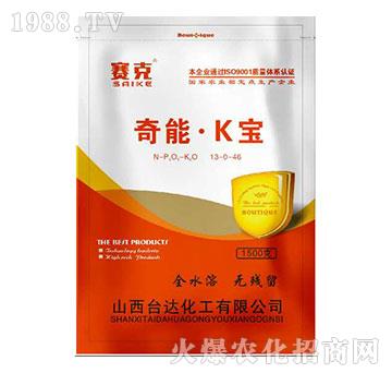 奇能·K寶-賽克-臺(tái)達(dá)