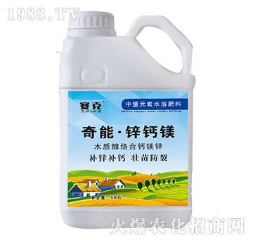 ���ܡ��\�}�V-ِ��-�_(t��i)�_(d��)