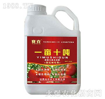 һ��ʮ��-ِ��-�_(t��i)�_(d��)