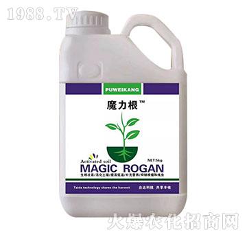 ħ����-�_�_(d��)