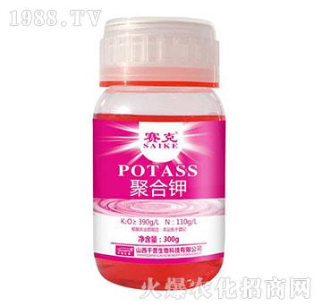 �ۺ��-ِ��-�_(t��i)�_(d��)