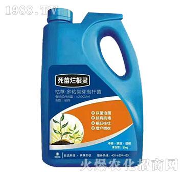 ���砀���`-�_�_(d��)