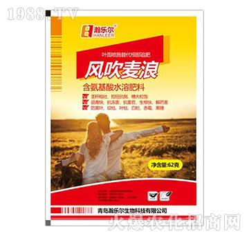 含氨基酸水溶肥料-風(fēng)吹麥浪-瀚樂爾