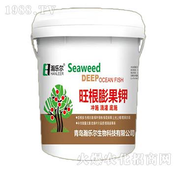 ��������-嫘�(l��)��