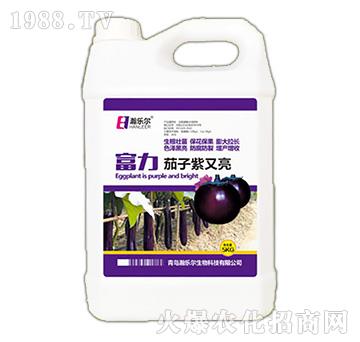 茄子紫又亮-富力-瀚樂爾