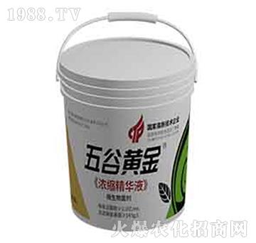 五谷黃金-濃縮精華液