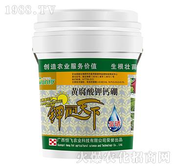 黃腐酸鉀鈣硼-恒飛農(nóng)業(yè)