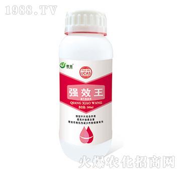 強效王-微旺-尚豐益邦