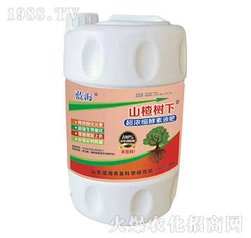 超濃縮酵素液肥-山楂樹下-藍(lán)海