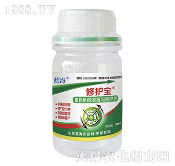 ֲ�������T���c���o��-���o��-�{��