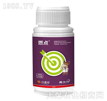 燃點(diǎn)-中植堂