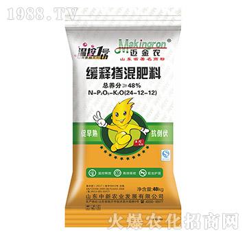 ��ጓ������24-12