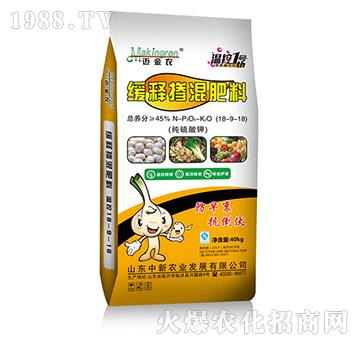 ������⛾�ጓ������1