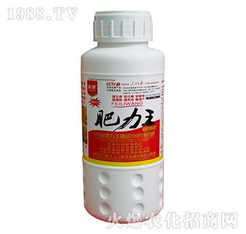 瓶裝肥力王-彩訊-漯豐王