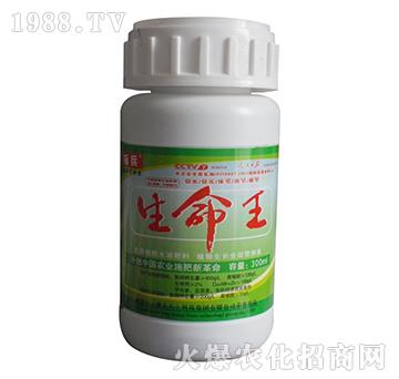 300ml含腐植酸水溶肥料-生命王-標(biāo)兵-漯豐王