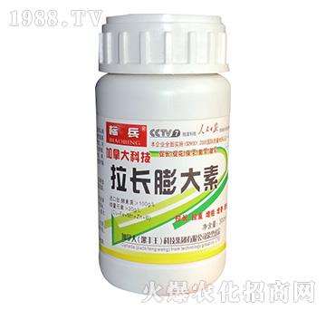 拉長(zhǎng)膨大素-標(biāo)兵-漯豐王