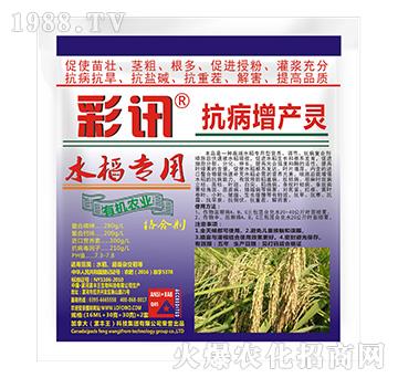 水稻專用抗病增產(chǎn)靈-彩訊-漯豐王