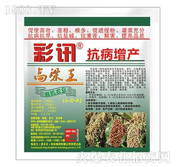 高粱王抗病增產(chǎn)絡合劑-彩訊-漯豐王