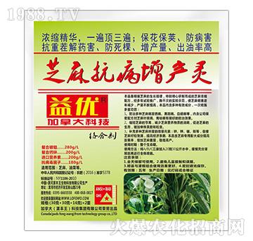 芝麻抗病增產(chǎn)靈-益優(yōu)-漯豐王