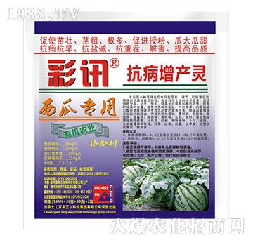 西瓜專用抗病增產(chǎn)靈-彩訊-漯豐王