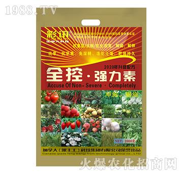 袋裝全控·強力素-漯豐王