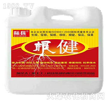 根健-標兵-漯豐王