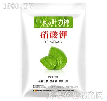 硝酸鉀13.5-0-46-施耐力