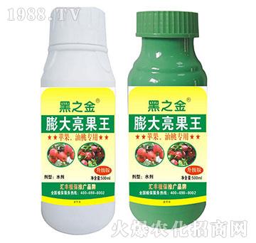 �O�������Ҍ������������-�R�Sֲ��